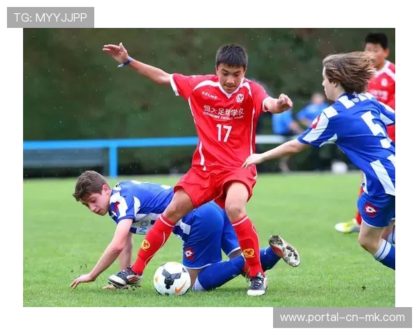 职业联赛准入标准更新，青训投入成重点